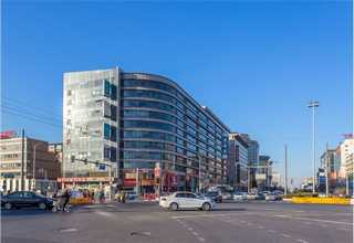 梁溪区新品植物绿植零售批发